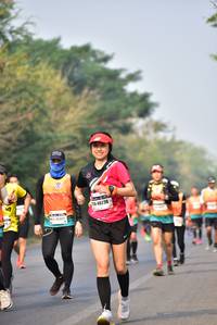 BIB: 40230, 45323
                            <button type="button" onclick="openModal(10177030)" class="btn btn-primary btn-sm float-right btn-popup" data-toggle="modal" data-target=".modal-high-quality">
                        <i class="fas fa-shopping-cart"></i> Add to Cart
                    </button>
                                            <button type="button" onclick="isThisMe(10177030, true)" class="btn btn-success btn-sm float-right btn-popup btn-isme hidden" data-toggle="tooltip" data-placement="bottom" title="นี่คือรูปของคุณใช่ไหม คลิกที่นี่เพื่อเอาเข้าอัลบั้ม">
                        <i class="fas fa-plus"></i> Add to album
                    </button>
                    <button type="button" onclick="isThisMe(10177030, false)" class="btn btn-warning btn-sm float-right btn-popup btn-isnotme hidden">
                        <i class="fas fa-ban"></i> Remove from album
                    </button>